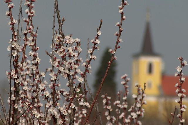 A nyolcadik legenyh�bb volt az idei m�rcius 1901 �ta