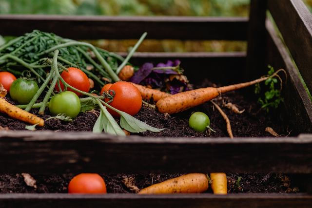Jövőre kötelező lesz itthon is a házi komposztálás
Jövőre kötelező lesz itthon is a házi komposztálás