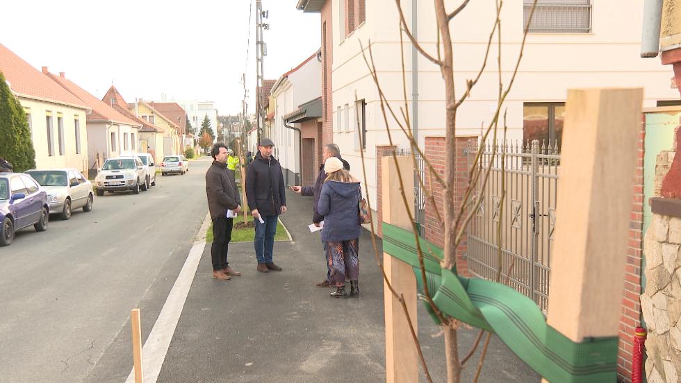 Folytatják a faültetési programot Folytatják a faültetési programot