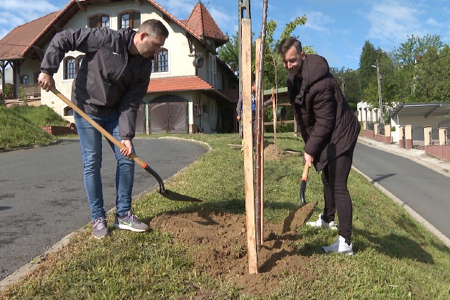 Elltettk az utols csemetket – Befejezdtt a tavaszi faltets