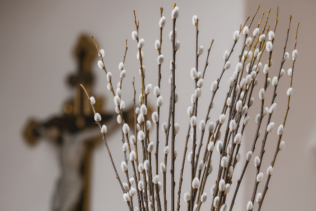 Vir�gvas�rnap van – egy h�t m�lva h�sv�t 