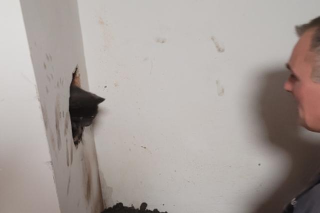 Kmnyben rekedt cict mentettek a zalai tzoltk