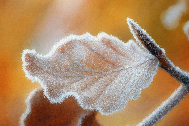 Vas�rnap leh�l�s �rkezik