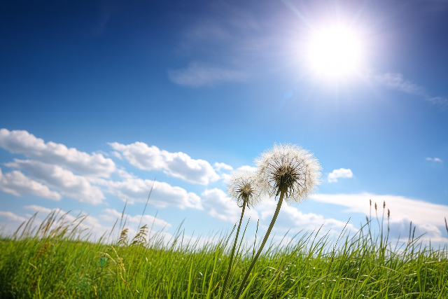 Hétvégétől visszatér az igazi nyár, jövő héten 35 fok is lehet Hétvégétől visszatér az igazi nyár, jövő héten 35 fok is lehet