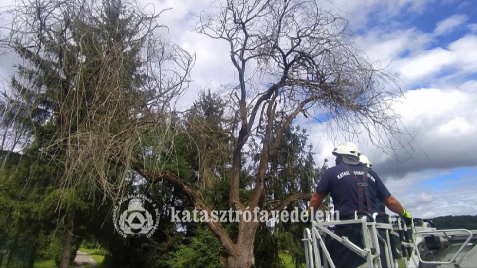 Letört faágakat és kiszáradt fát távolítottak el a tűzoltók Zalaegerszegen Letört faágakat és kiszáradt fát távolítottak el a tűzoltók Zalaegerszegen