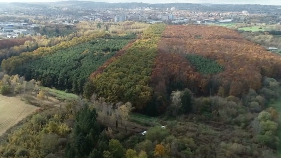 Sikeres volt a 2023-2024-es vadászati év Zala vármegyében Sikeres volt a 2023-2024-es vadászati év Zala vármegyében