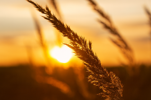 A jövő hét közepéig kitart a szeptemberi nyár
 A jövő hét közepéig kitart a szeptemberi nyár