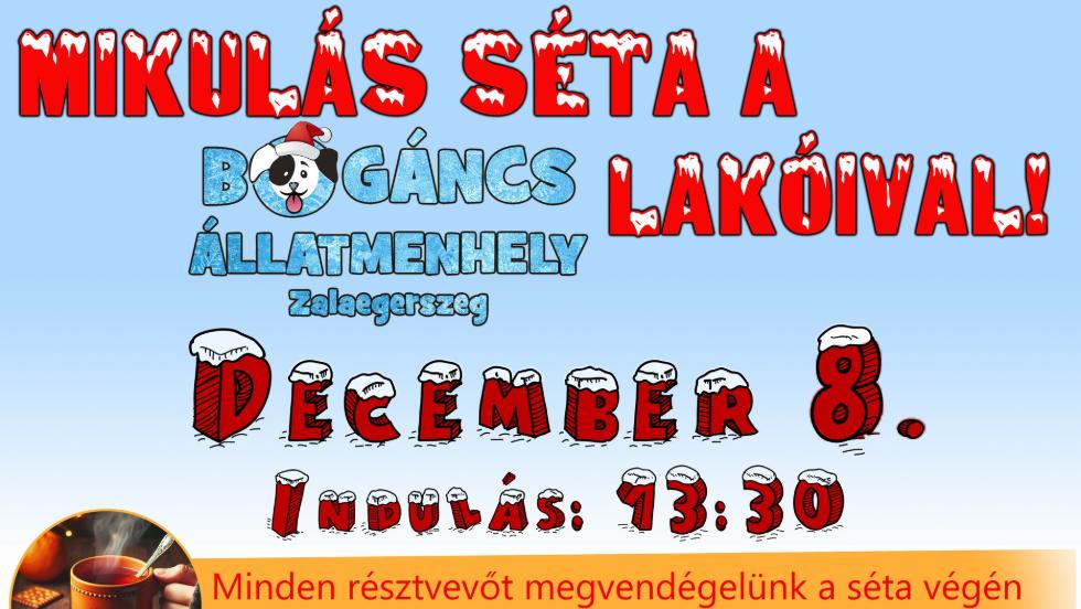 Mikulás-séta a Bogáncs Állatmenhely lakóival Mikulás-séta a Bogáncs Állatmenhely lakóival