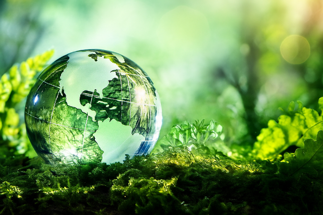 K�rnyezetv�delmi filmfesztiv�l - t�bb mint 100 �r�nyi �kol�giai t�m�j� alkot�st vet�tenek