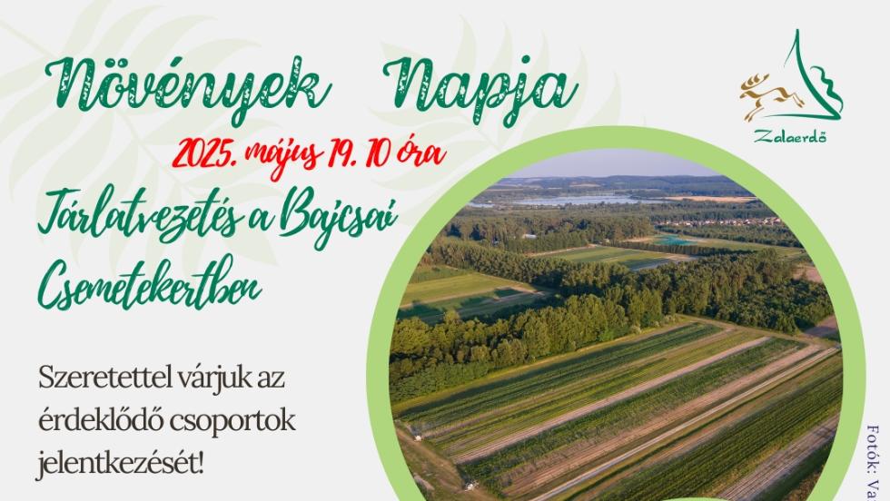 Növények Napja a Zalaerdővel Növények Napja a Zalaerdővel