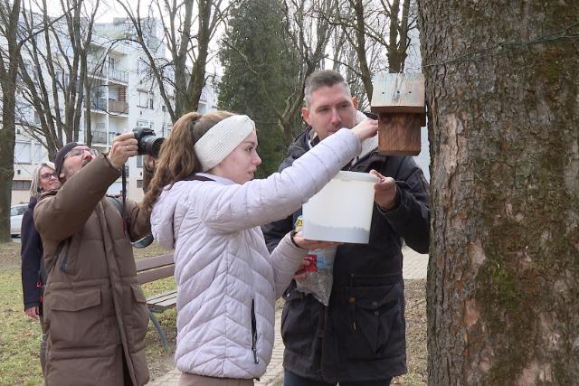 Új madáretetők a bölcsődében Új madáretetők a bölcsődében