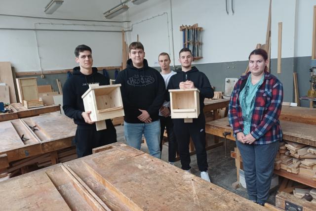 Zalaegerszegi seg�ts�g a k�k v�rcs�knek