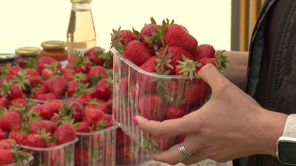 Epernapokat tartottak - változatos volt a kínálat Epernapokat tartottak - változatos volt a kínálat