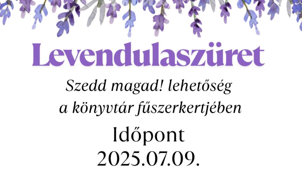 Szedd magad! Levendulaszüret a könyvtár fűszerkertjében Szedd magad! Levendulaszüret a könyvtár fűszerkertjében