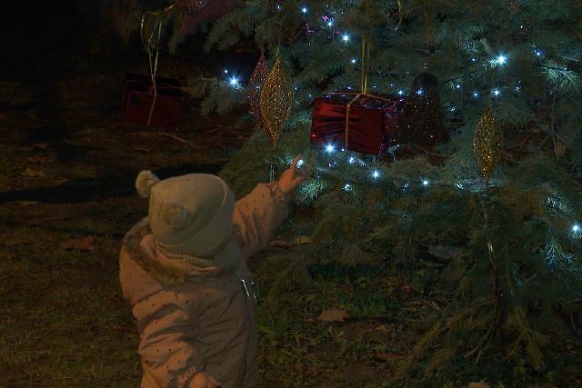 Kertvárosi advent - mindenki karácsonyfája Botfán Kertvárosi advent - mindenki karácsonyfája Botfán