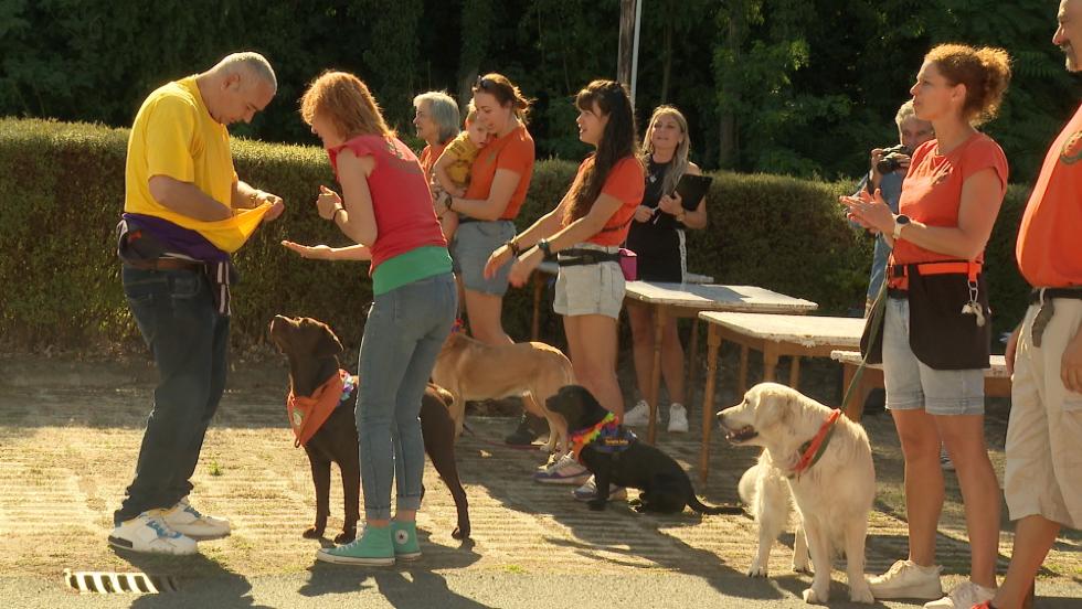 Harmadjra rendeztk meg a SzrMka Kupt