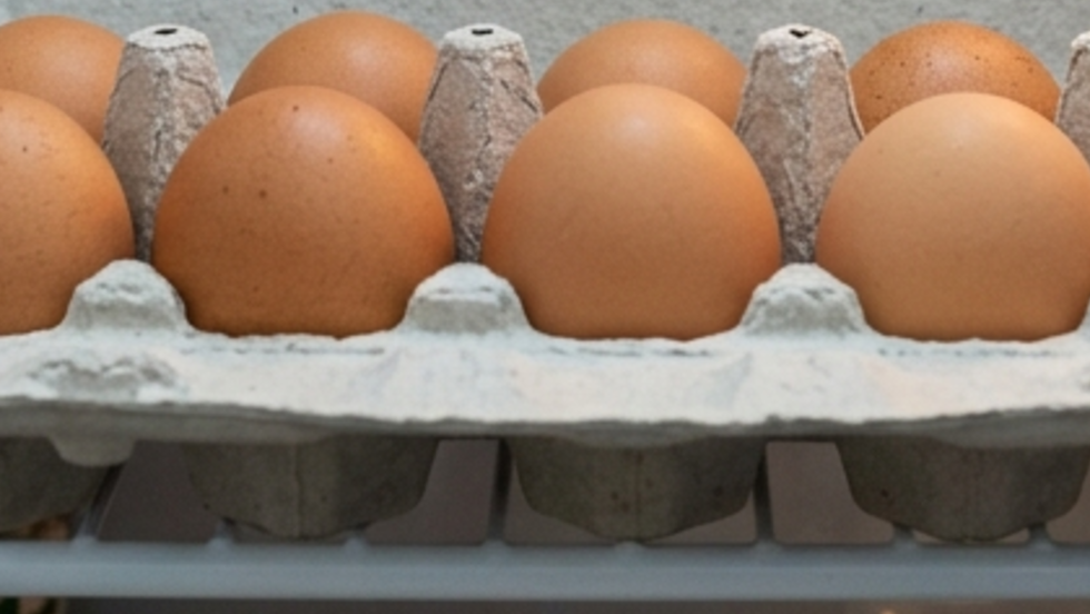 Tápanyagdús, kitűnő fehérjeforrás, vitaminokban gazdag - így támogatja a tojás a fogyást Tápanyagdús, kitűnő fehérjeforrás, vitaminokban gazdag - így támogatja a tojás a fogyást