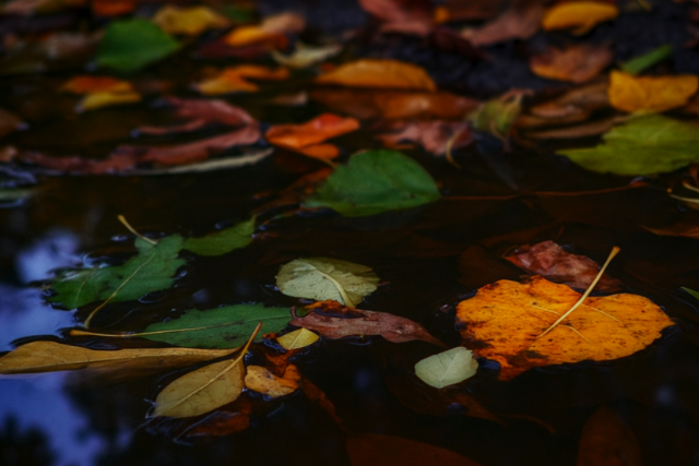 Esvel, zivatarokkal s viharos szllel rkezik a htfi front