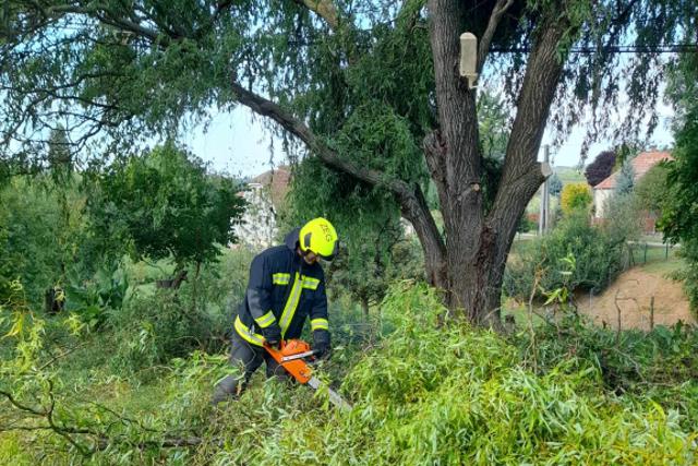 Viharos Hétvége: kidőlt fák és balesetek Zalában Viharos Hétvége: kidőlt fák és balesetek Zalában