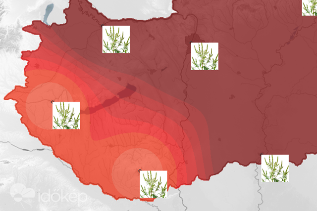 Zalaegerszeg kivtelvel orszgszerte extrm a parlagf pollenszrsa