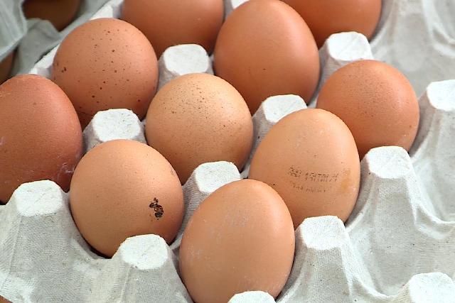 Tojás Világnapja Zalaegerszegen Tojás Világnapja Zalaegerszegen