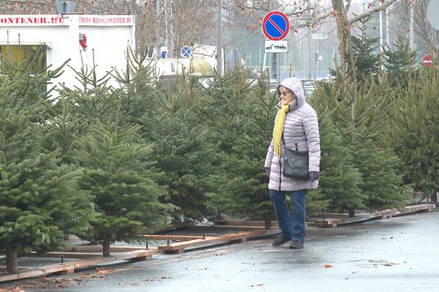 Id�n is sz�les a k�n�lat feny�f�kb�l Zalaegerszegen