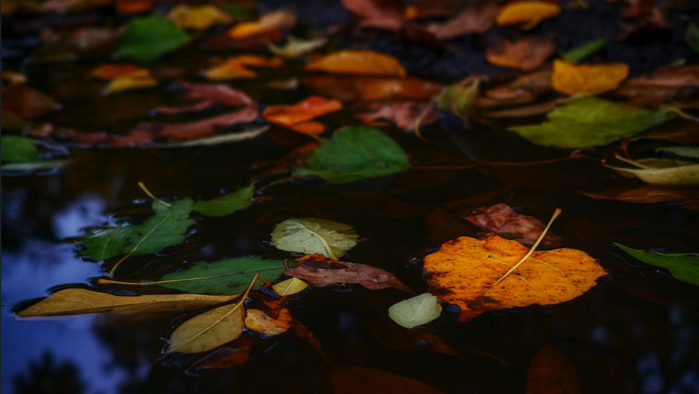 Esővel, zivatarokkal és viharos széllel érkezik a hétfői front Esővel, zivatarokkal és viharos széllel érkezik a hétfői front