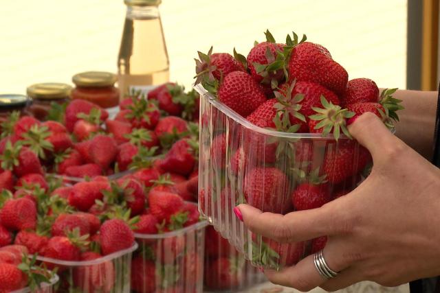 Csal� eper�rusok: tan�csok a val�di magyar gy�m�lcs�k azonos�t�s�hoz