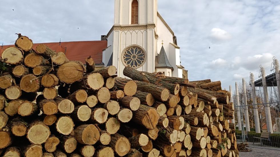 Keszthely koszorúja száz köbméter tűzifával segíti a rászorulókat Keszthely koszorúja száz köbméter tűzifával segíti a rászorulókat