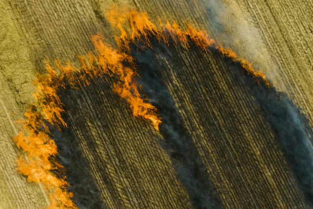 Egyre tbb helyen g a tarl, a ndas