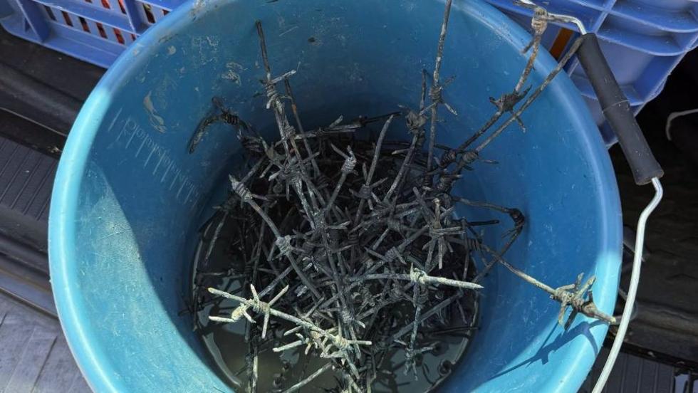 Vesz�lyes dolgot tal�ltak a Balatonban, t�bb f�rd�z� is megs�r�lt