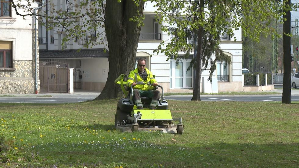 Másfél millió négyzetméternyi területet gondoznak; füvet nyírnak, virágot ültetnek Másfél millió négyzetméternyi területet gondoznak; füvet nyírnak, virágot ültetnek