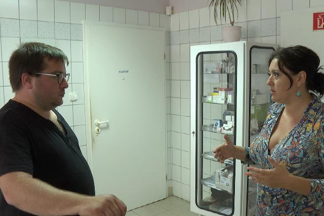 Ajánlott védekezni - ismert és visszatérő probléma minden évben a szúnyoginvázió Ajánlott védekezni - ismert és visszatérő probléma minden évben a szúnyoginvázió