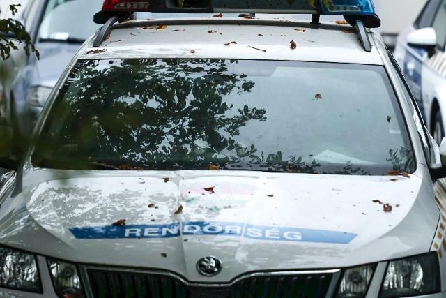 Fémlövdékkel lőtt a szomszéd kutyájára Fémlövdékkel lőtt a szomszéd kutyájára