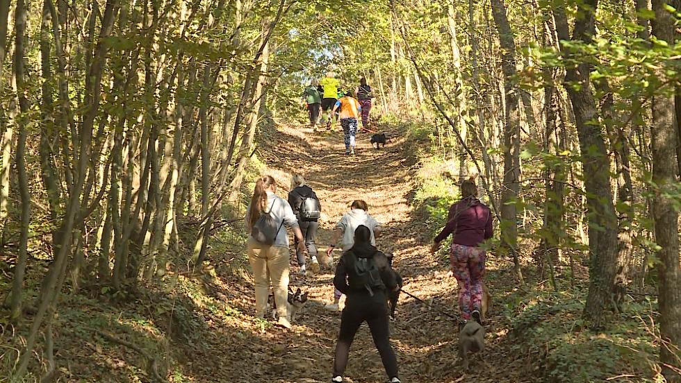 Zala Forest Challange címmel kutyás terepfutást rendeztek Zalaegerszegen Zala Forest Challange címmel kutyás terepfutást rendeztek Zalaegerszegen