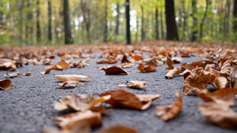Az ősz eddigi leghidegebb éjszakáján vagyunk túl Az ősz eddigi leghidegebb éjszakáján vagyunk túl
