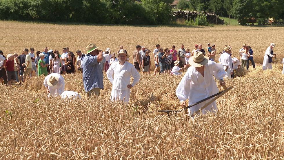 Aratónapot tartottak Nován Aratónapot tartottak Nován