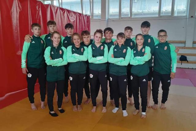 G�zer�vel k�sz�lnek az Eur�pa-bajnoks�gra a cselg�ncsoz�k