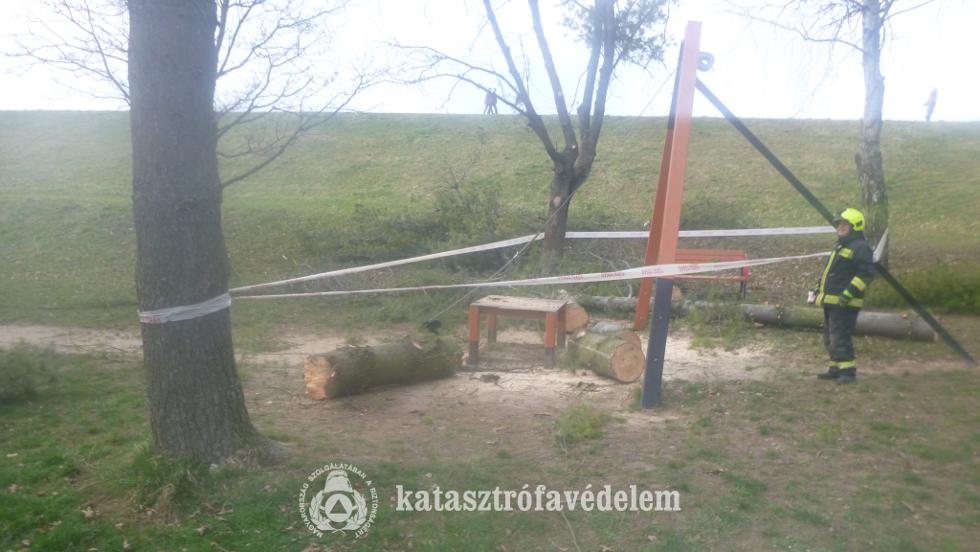 Fenyőfa dőlt a játszótérre Zalaegerszegen Fenyőfa dőlt a játszótérre Zalaegerszegen