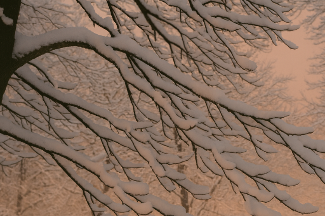 Havaz�s �s komoly fagy �rkezik