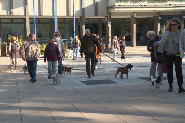 Állatok világnapja - rendhagyó nap és adományátadás a városházán  Állatok világnapja - rendhagyó nap és adományátadás a városházán