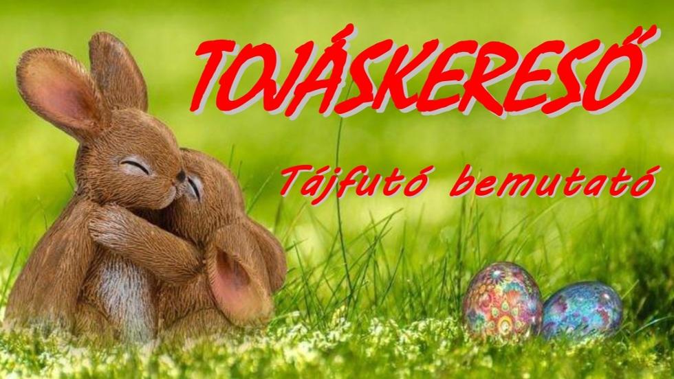 Tojáskereső a Göcseji Falumúzeumban Tojáskereső a Göcseji Falumúzeumban