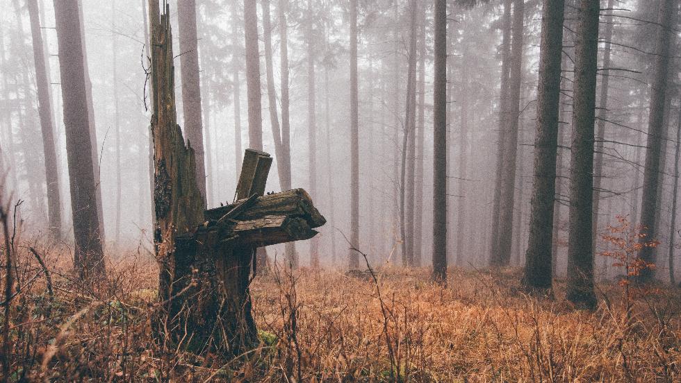 Sokkoló részletek a meglőtt túrázóról Sokkoló részletek a meglőtt túrázóról