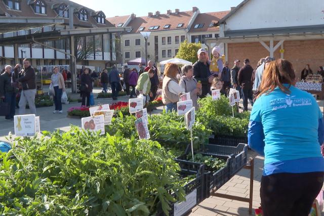 III. Egerszegi Palántafesztivál a Göcseji Tudásközpontban III. Egerszegi Palántafesztivál a Göcseji Tudásközpontban