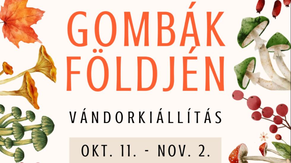 Gombák földjén – különleges őszi kiállítás Zalaegerszegen Gombák földjén – különleges őszi kiállítás Zalaegerszegen