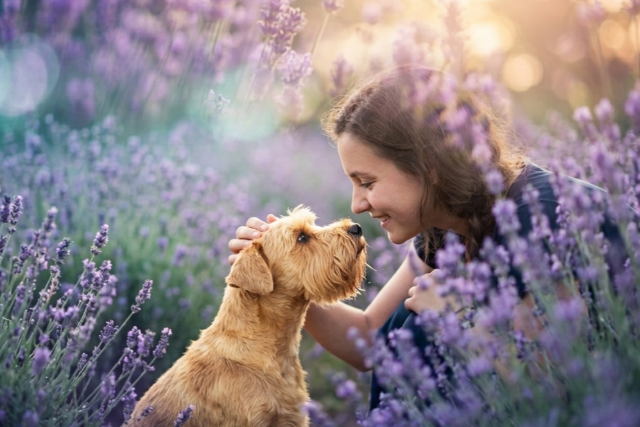 A kutya sz� szerint meger�s�ti a sz�vet