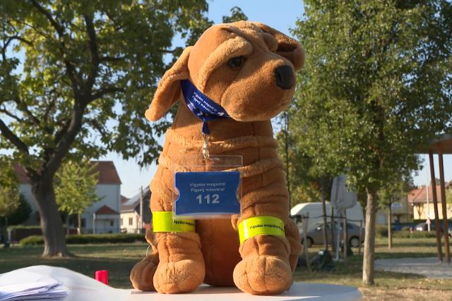 K�ldet�s – �llattart�s csak felel�sen!
