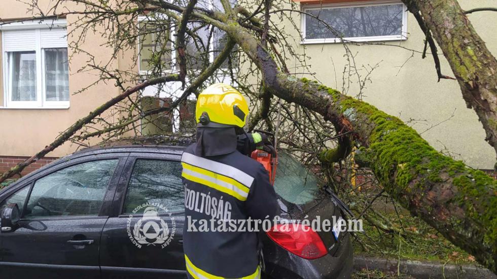 Parkol autkra dlt egy fa Zalaegerszegen