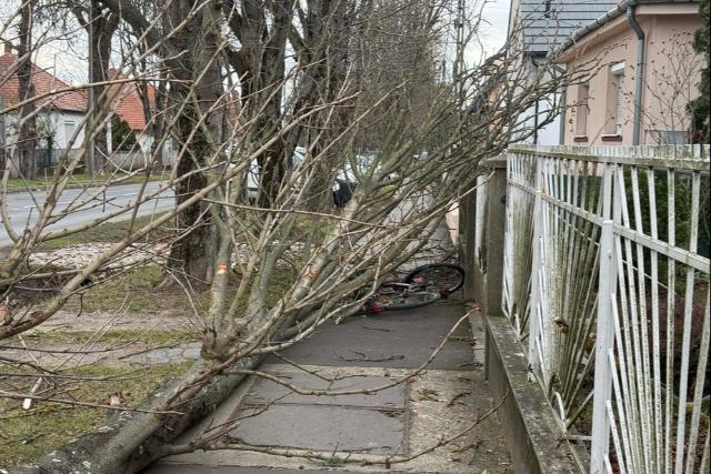 K�zel hatvan helysz�nen, meg�ll�s n�lk�l dolgoztak a zalai t�zolt�k vas�rnap