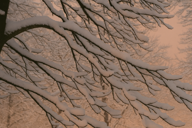 Hol eshet a h� kar�csonykor? �me a legfrissebb el�rejelz�s